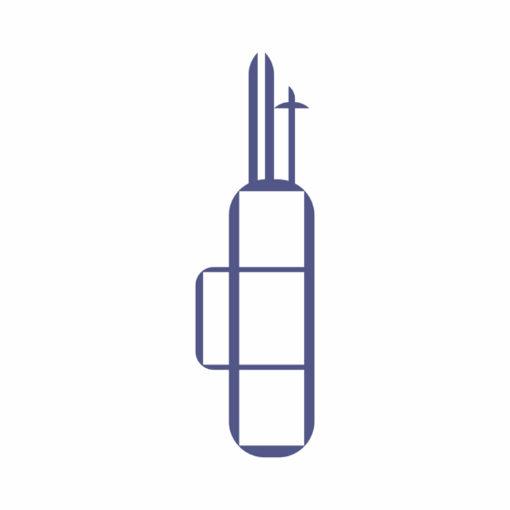 ski logo